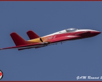 TSR Watermark - 0411